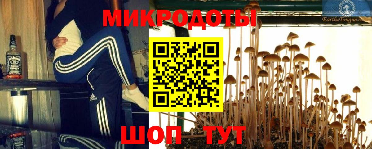 Псилоцибиновые грибы мухоморы  Вход с VPN  Норильск  Псилоцибиновые грибы Magic Shrooms 