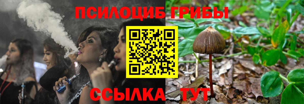 Псилоцибиновые грибы MAGIC MUSHROOMS Норильск